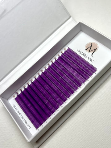 Prism Collection - Purple